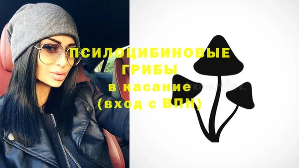 герыч Абаза