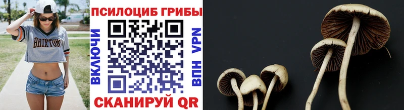 Псилоцибиновые грибы Psilocybe  omg ССЫЛКА  Алексин 